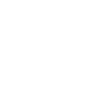 Asus (1)